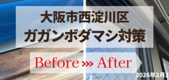 大阪市西淀川区・個人宅マンション  ガガンボダマシ侵入防止対策の事例の駆除