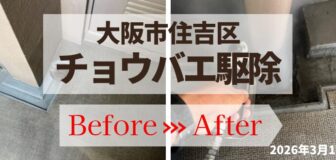 大阪市住吉区・マンション共用部のチョウバエ駆除の事例の駆除