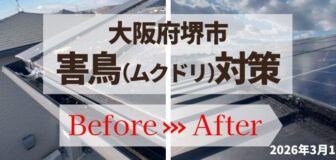 大阪府堺市・ソーラーパネルの害鳥対策（ムクドリ）の事例　高所作業車の駆除