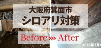 大阪府箕面市・個人宅 ヤマトシロアリ駆除の事例の駆除