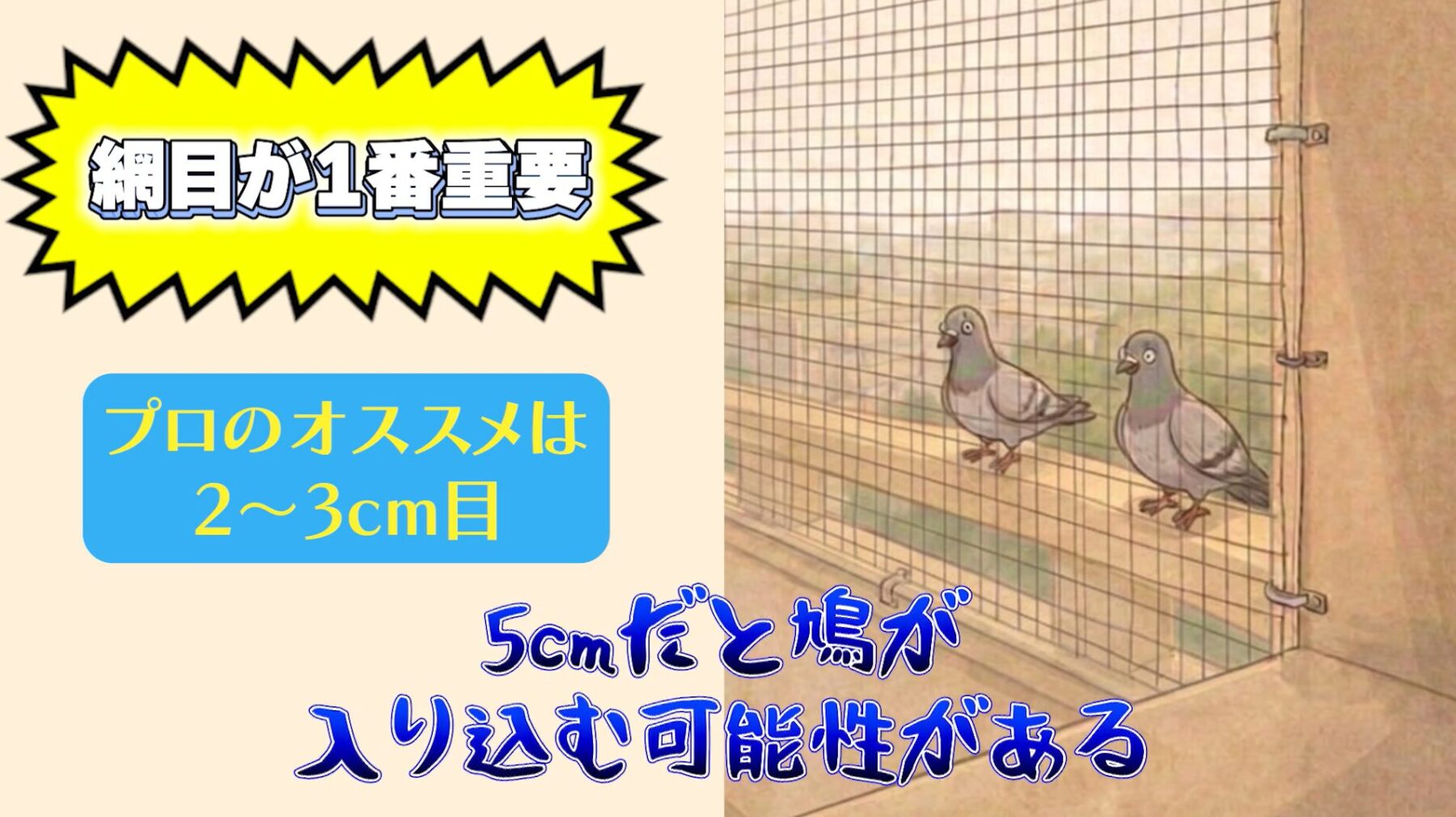 失敗しない鳩除けネットの選び方ポイントポイント①：網目サイズは2cm〜3cmがベスト