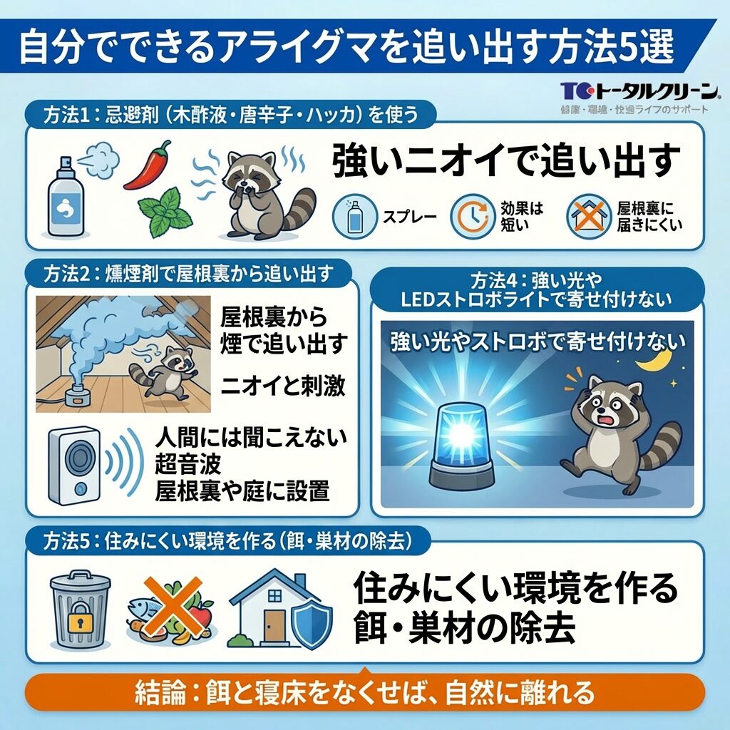 自分でできるアライグマを追い出す方法5選