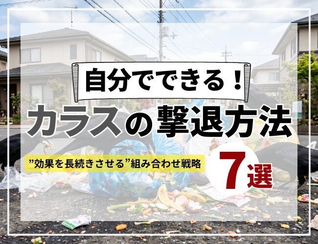 自分でできるカラスの撃退方法7選