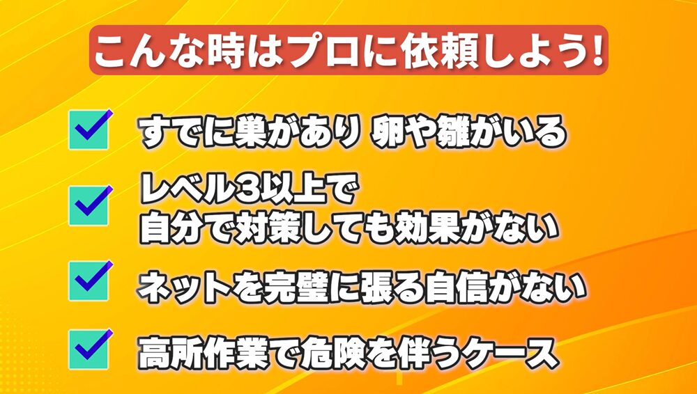 自分で対策が難しい場合は鳩駆除会社に相談を