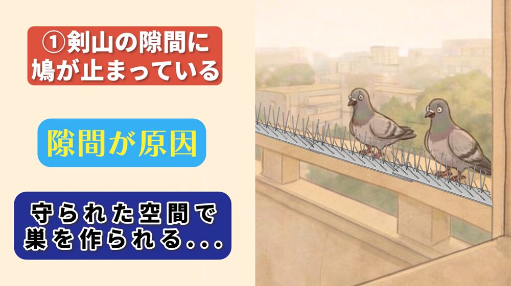 鳩よけグッズの失敗例1：剣山の隙間に鳩が止まっている