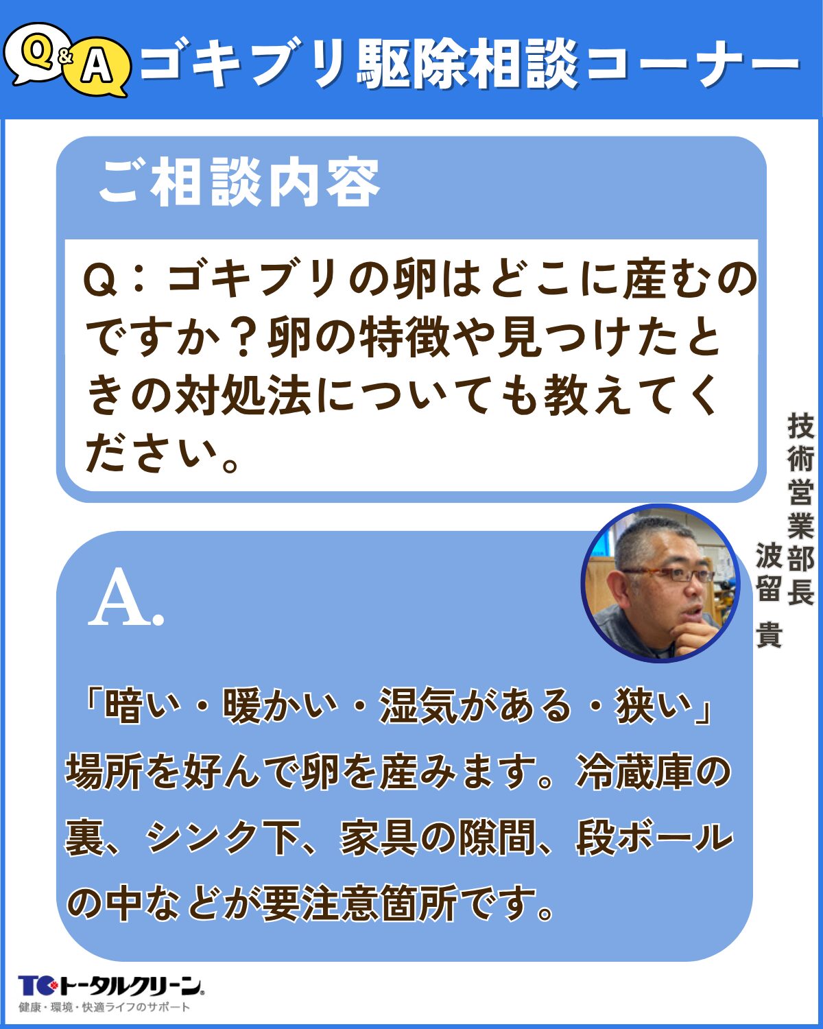 Q：ゴキブリの卵はどこに産むのですか？卵の特徴や見つけたときの対処法についても教えてください。