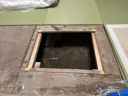 堺市西区・宿泊施設 床下 シロアリ防蟻処理の事例の処理前写真(拡大)