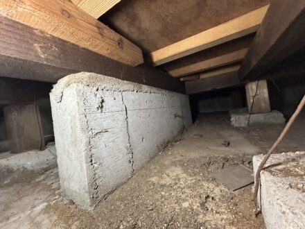 大阪府枚方市・個人宅 ヤマトシロアリ駆除の事例の処理前写真(5)