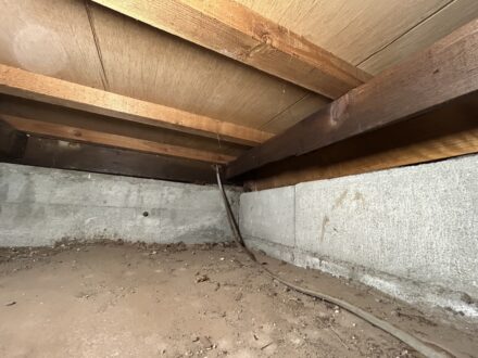 大阪府枚方市・個人宅 ヤマトシロアリ駆除の事例の処理前写真(6)