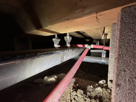 堺市西区・宿泊施設 床下 シロアリ防蟻処理の事例の処理前写真(2)