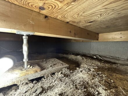 堺市西区・宿泊施設 床下 シロアリ防蟻処理の事例の処理前写真(5)