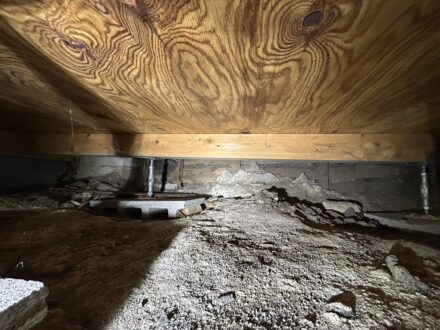堺市西区・宿泊施設 床下 シロアリ防蟻処理の事例の処理前写真(4)
