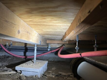 堺市西区・宿泊施設 床下 シロアリ防蟻処理の事例の処理前写真(3)
