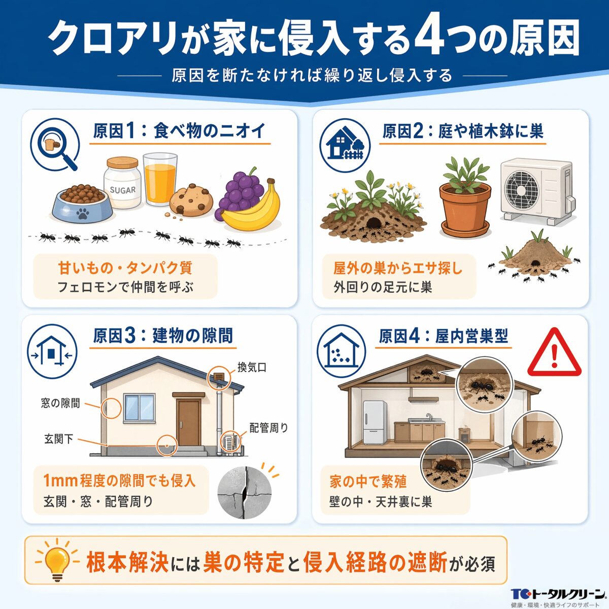 クロアリが家に侵入する4つの原因