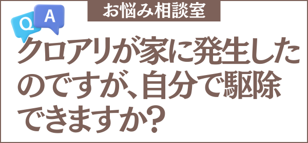 クロアリが家に発生したのですが、自分で駆除できますか？コツを教えてください