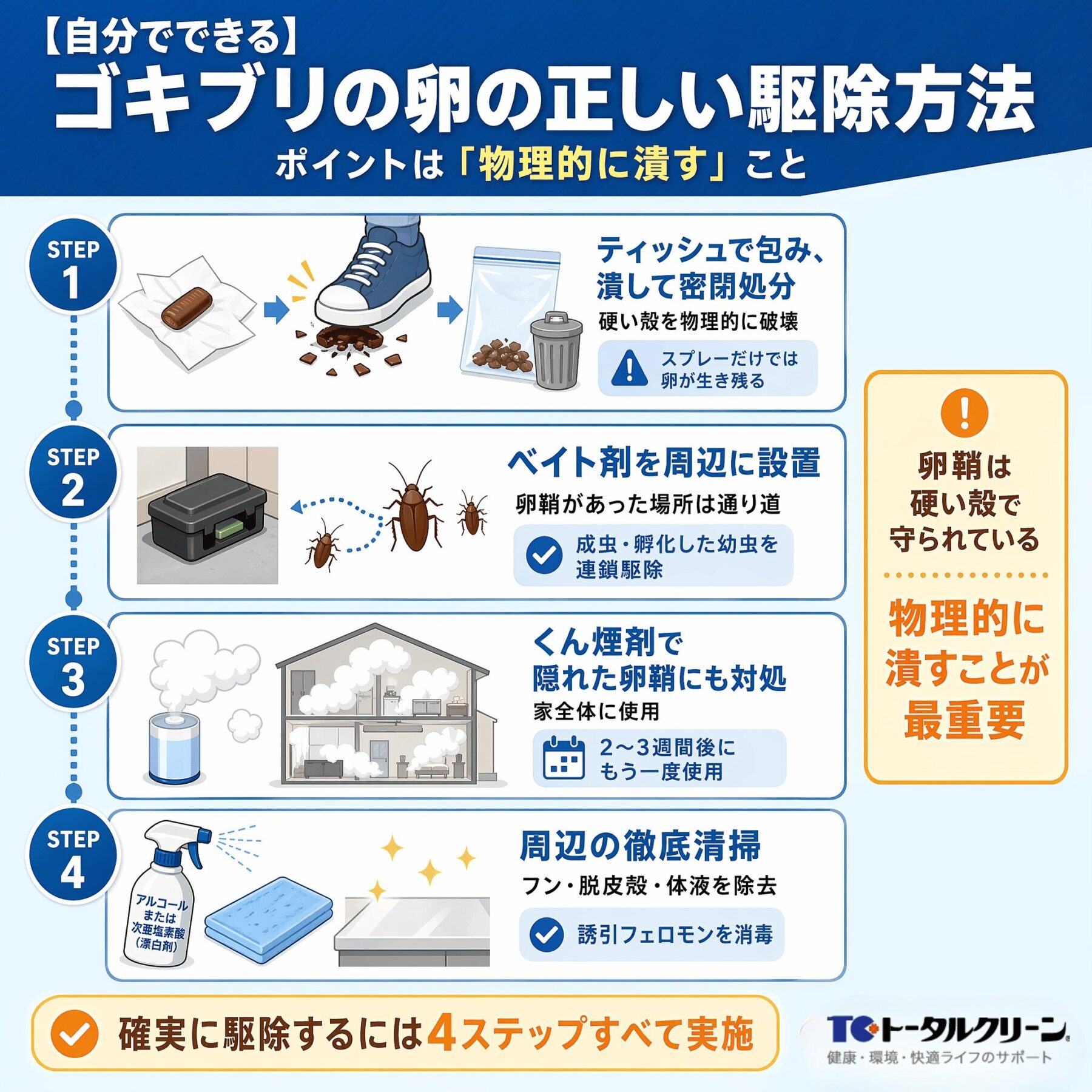 ゴキブリの卵の正しい駆除方法