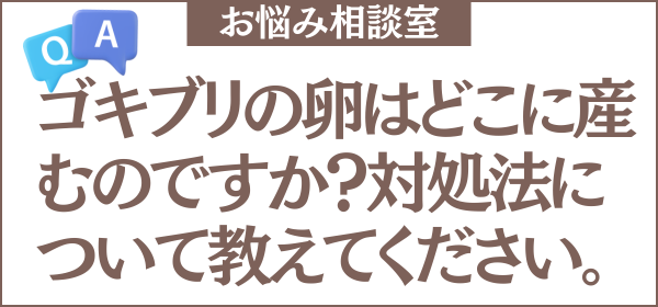 ゴキブリの卵はどこに産むのですか？卵の特徴や見つけたときの対処法についても教えてください。
