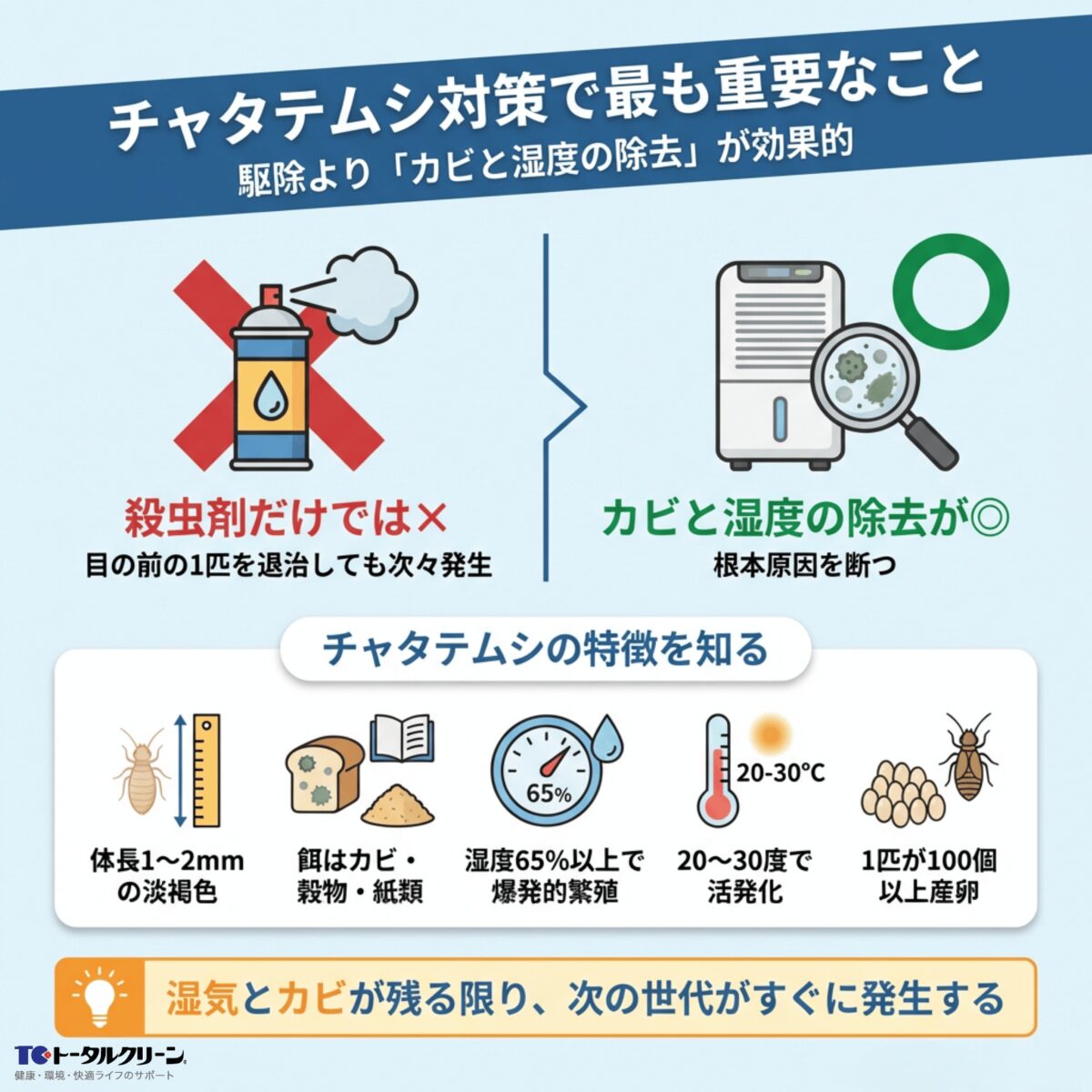 チャタテムシ対策の重要ポイント