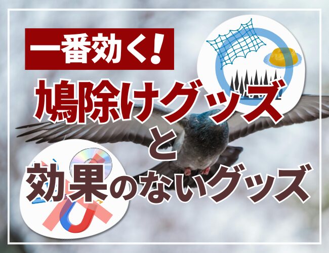 一番効く鳩除けグッズと効果のないグッズ