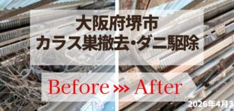 大阪府堺市・カラスの巣撤去とダニ駆除の事例