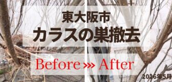 大阪府東大阪市・カラスの巣撤去の事例