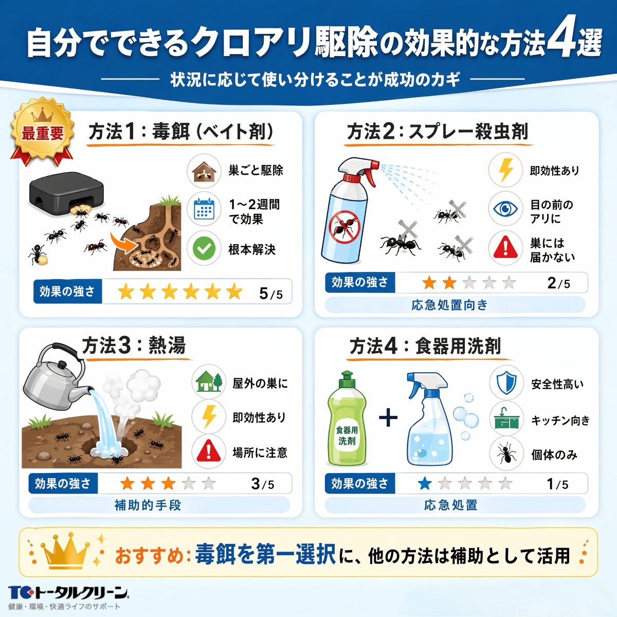 自分でできるクロアリ駆除の効果的な方法4選