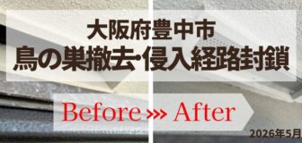 大阪府豊中市・鳥の巣撤去と侵入経路封鎖工事の事例