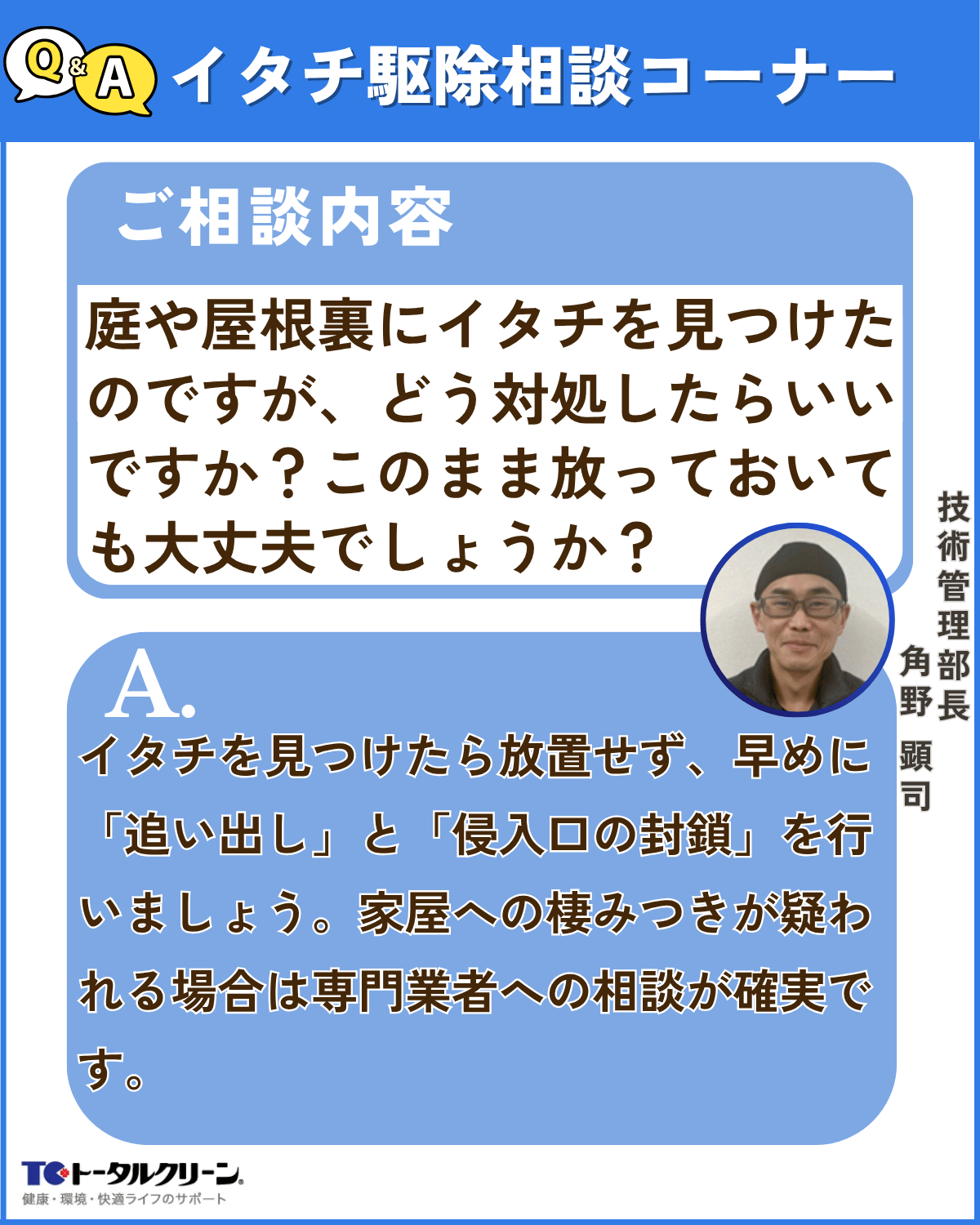 Q庭や屋根裏にイタチを見つけたのですが、どう対処したらいいですか？このまま放っておいても大丈夫でしょうか？ (1)