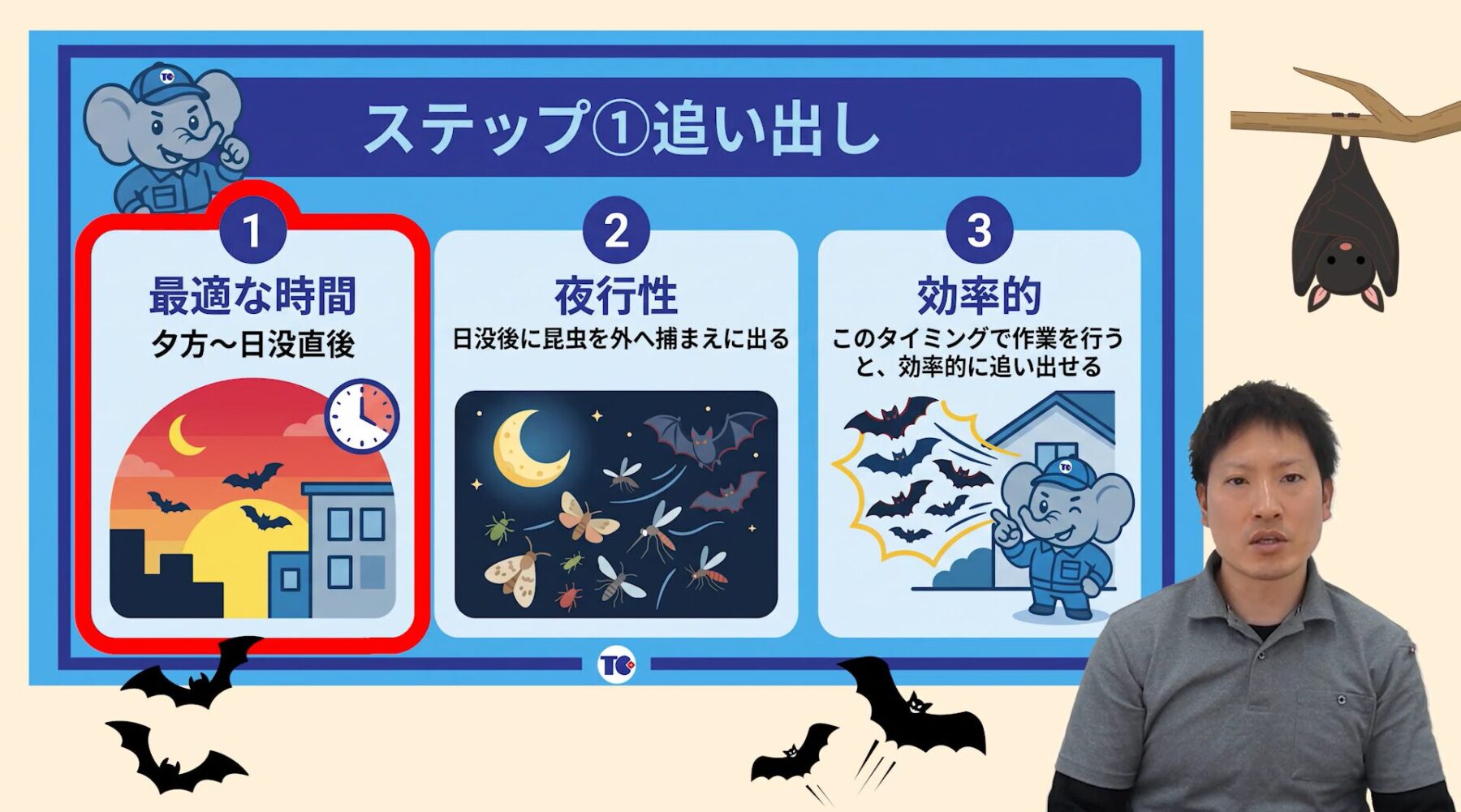コウモリを追い出す手順ステップ1追い出し作業