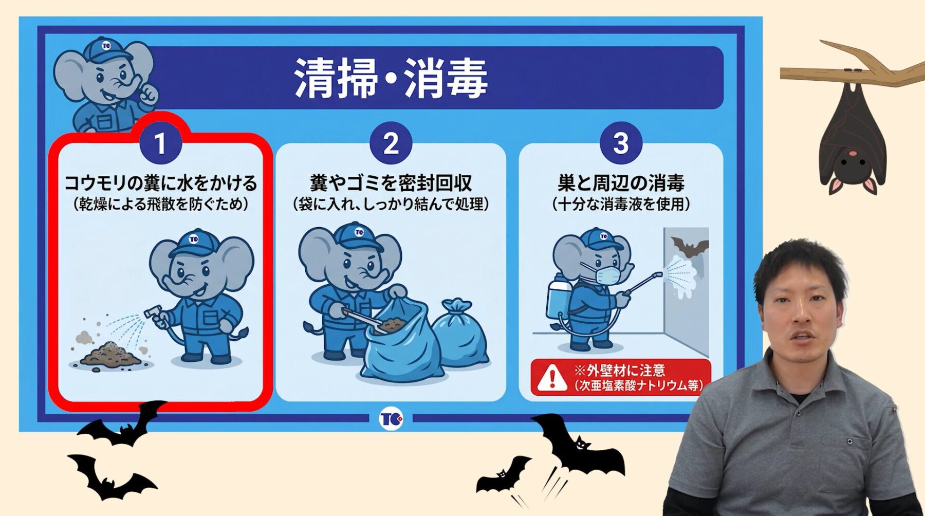 コウモリを追い出す手順ステップ2清掃・消毒