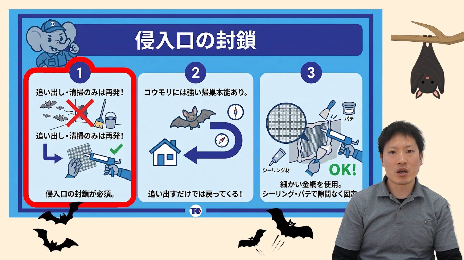 コウモリを追い出す手順ステップ3侵入口封鎖