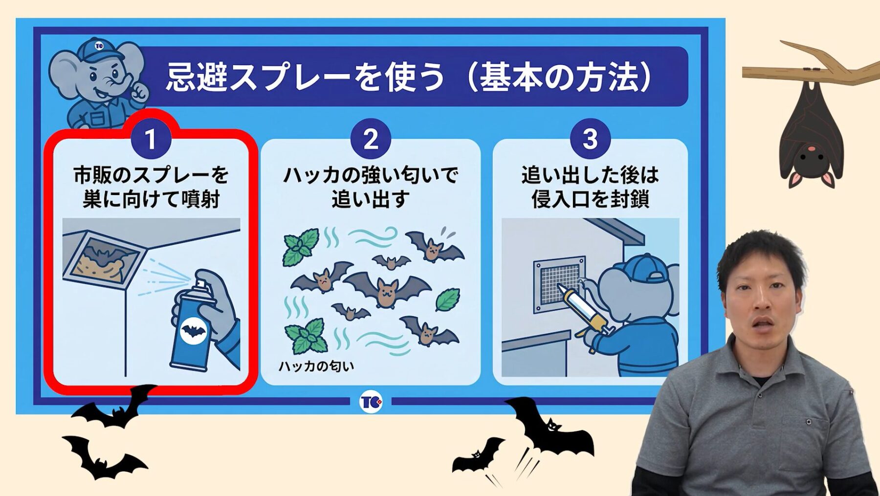コウモリを追い出す方法1：市販のコウモリ用忌避スプレーを噴射する