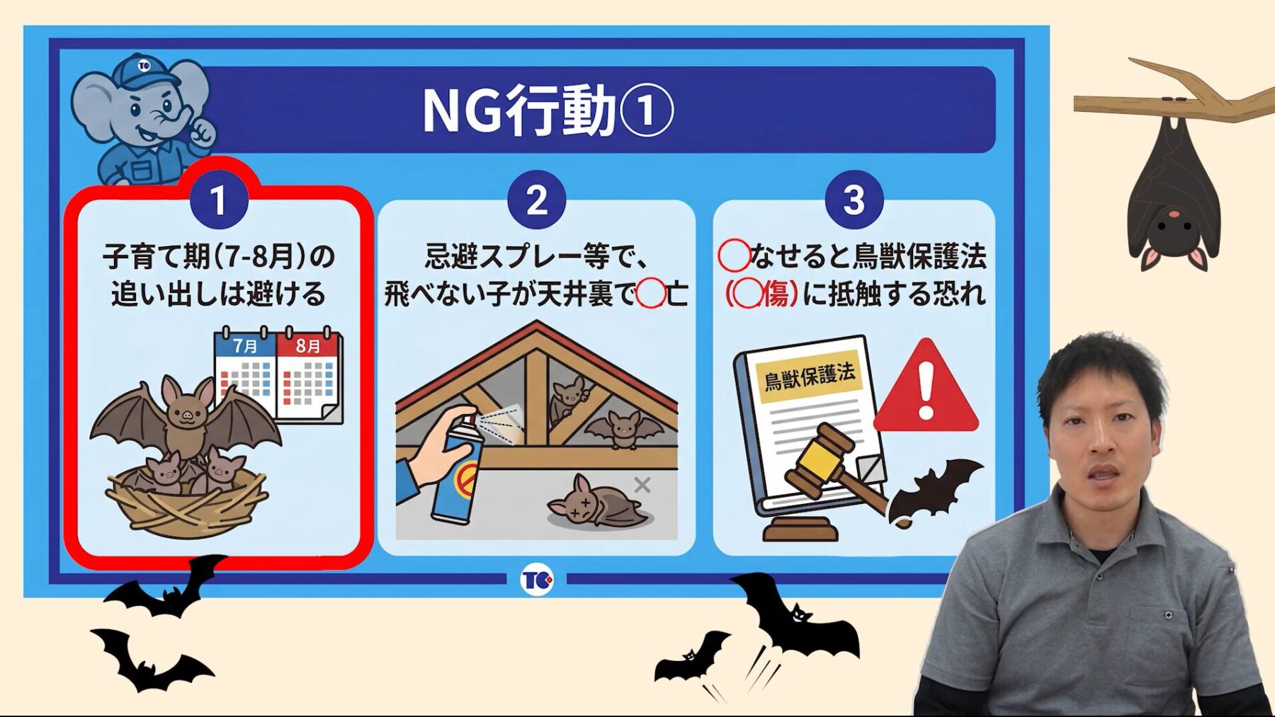 コウモリ追い出しで「やってはいけない」行動①：7〜8月の出産・子育て期に追い出し作業をする