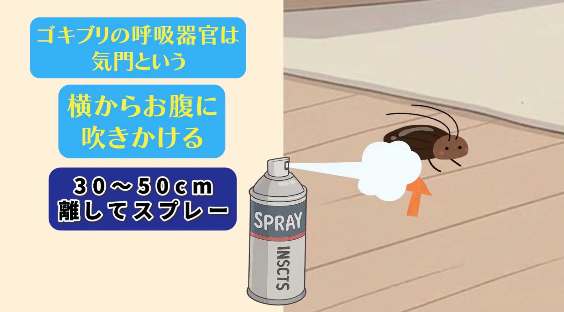 ゴキブリスプレーの効果を上げる使い方｜テクニック1_ 横から30〜50cmの距離で1〜3秒噴射する