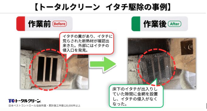 イタチ駆除の事例