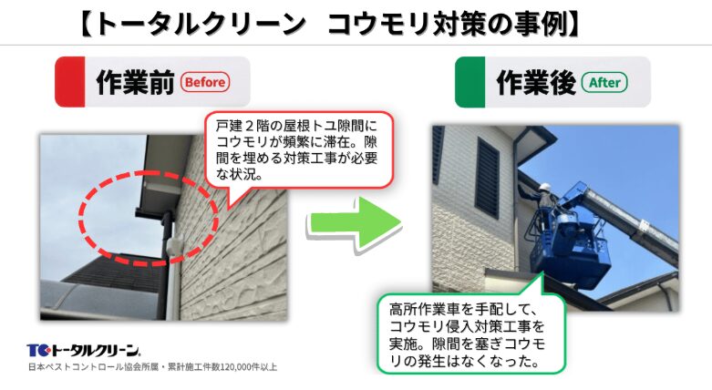コウモリ対策の事例