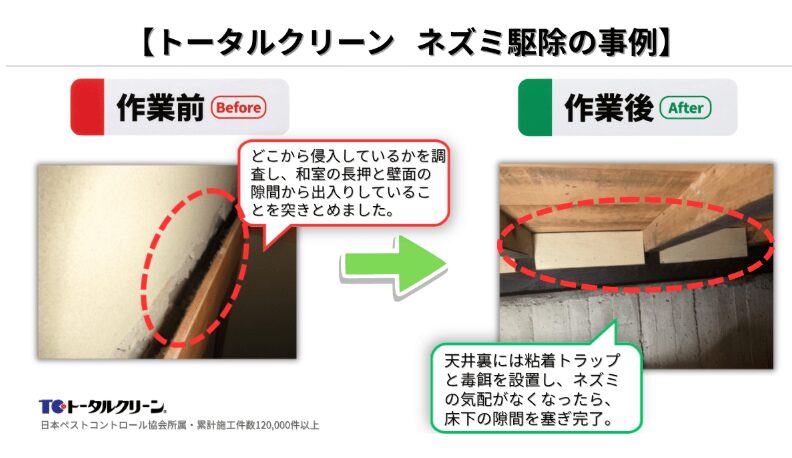 トータルクリーンネズミ駆除の事例