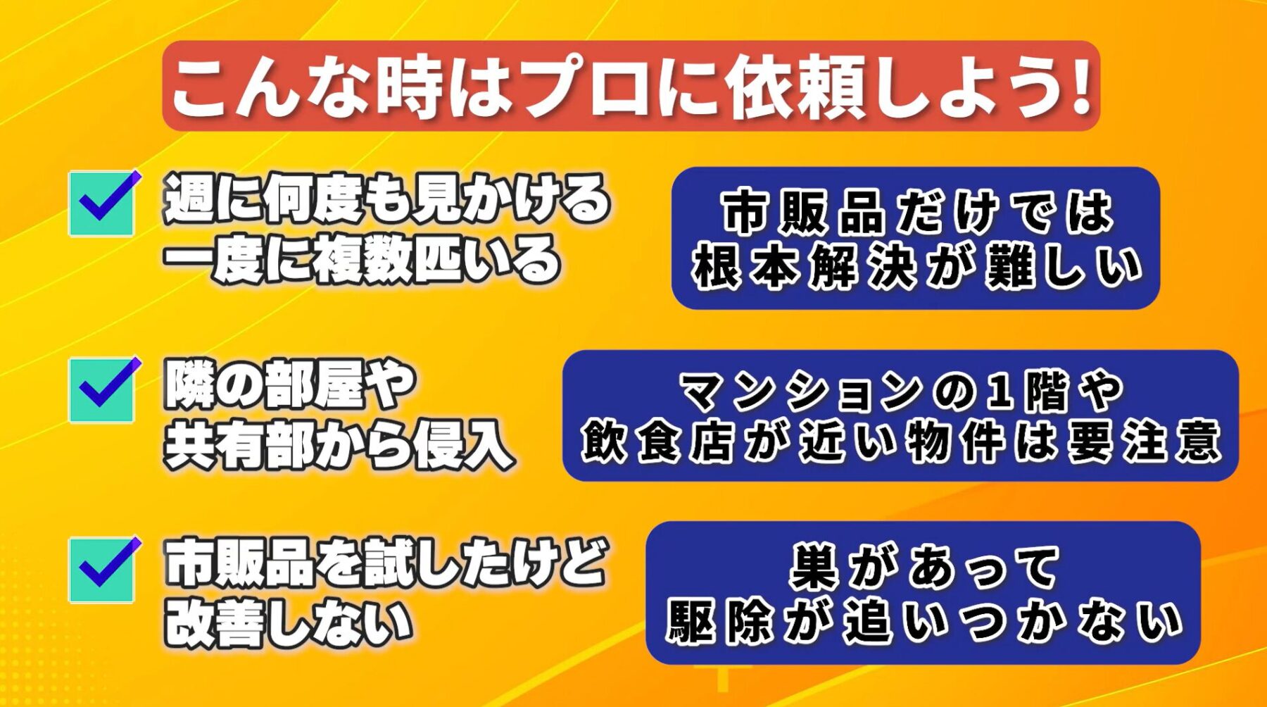 プロに相談すべき3つのゴキブリ被害のケース