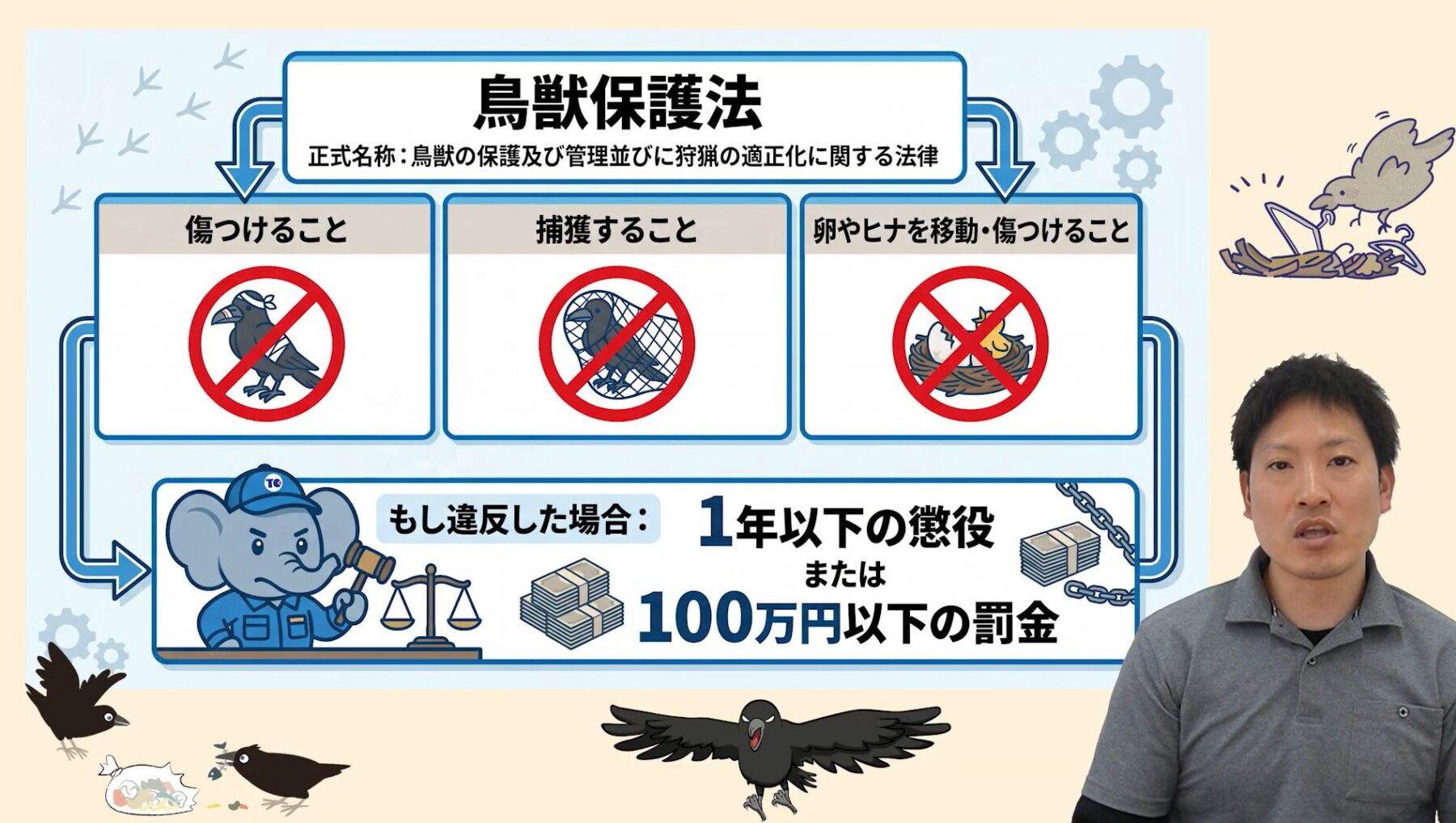 卵やヒナがある巣を撤去すると鳥獣保護法違反になる
