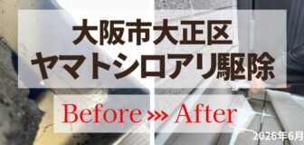 大阪市大正区・個人宅 ヤマトシロアリ駆除の事例の駆除