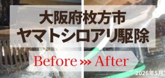 大阪府枚方市・個人宅 ヤマトシロアリ駆除の事例