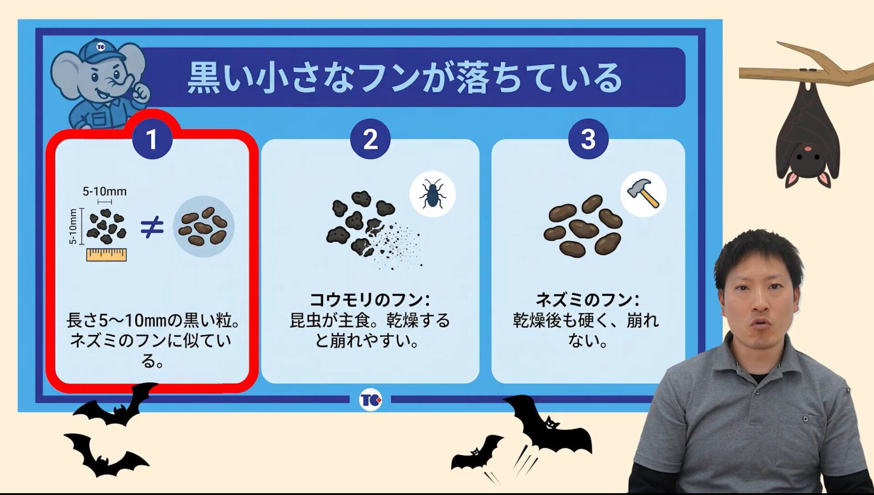 家に住み着いたコウモリを見分ける3つのサイン①：黒い小さなフンが落ちている