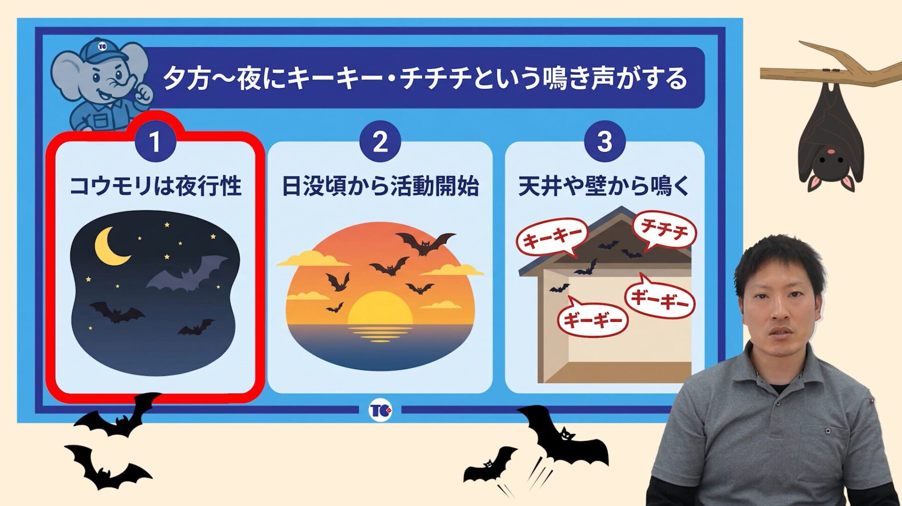 家に住み着いたコウモリを見分ける3つのサイン②：夕方〜夜に「キーキー」という鳴き声がする