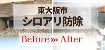 大阪府東大阪市・個人宅 シロアリ防除施工の事例の駆除
