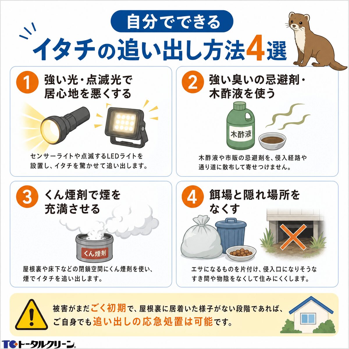 自分でできるイタチの追い出し方法 (2)