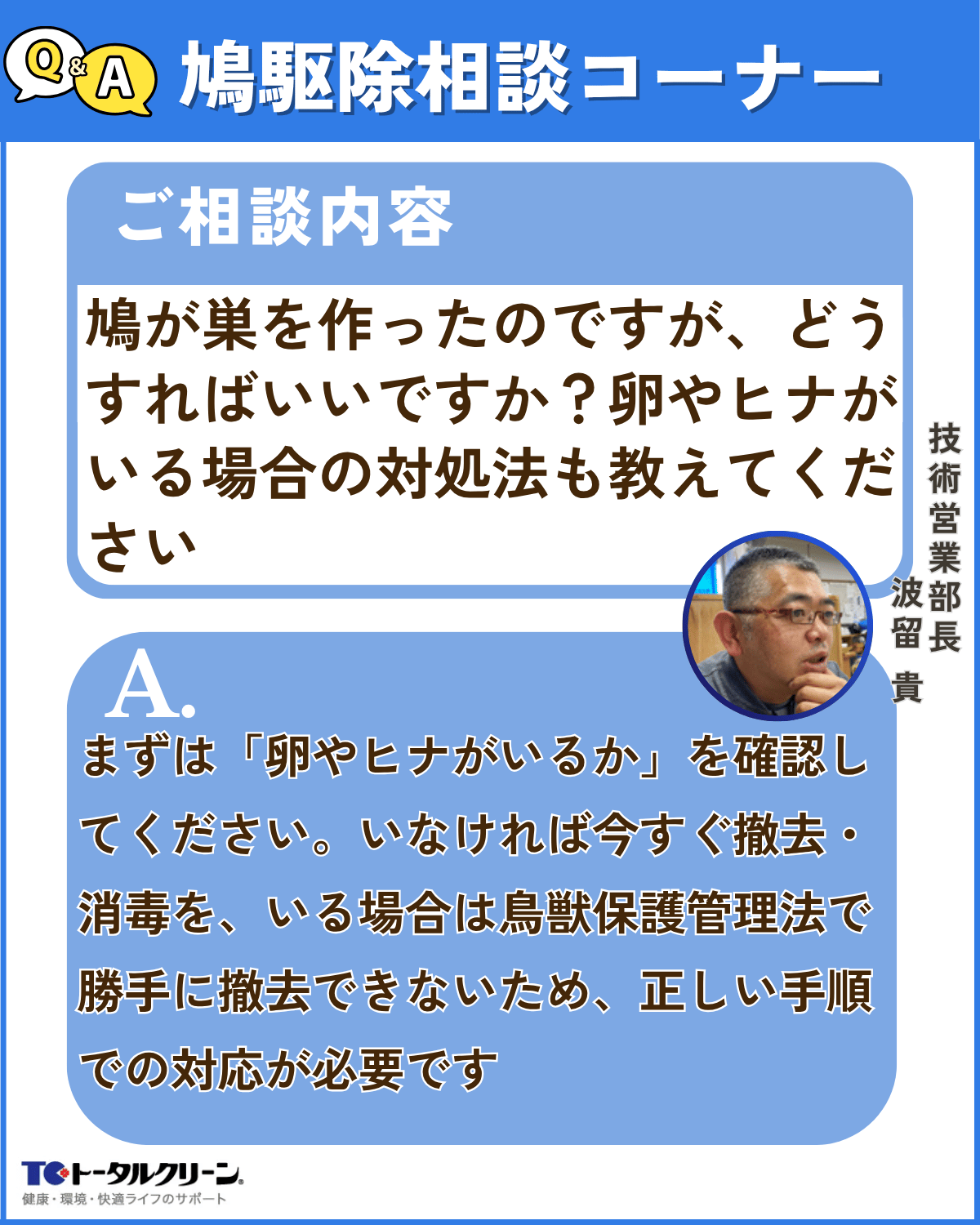 Q鳩が巣を作ったのですが、どうすればいいですか？卵やヒナがいる場合の対処法も教えてください