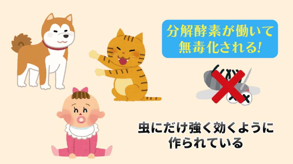 ペット・赤ちゃんへへの安全性は担保されている