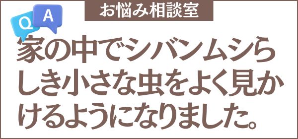 家の中でシバンムシらしき小さな虫をよく見かけるようになりました。どんな殺虫剤が効果的でしょうか？