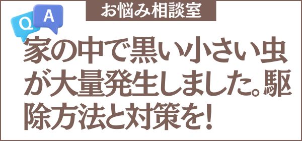 家の中で黒い小さい虫が大量発生したのですが、何の虫ですか？駆除方法と発生させない対策も教えてください