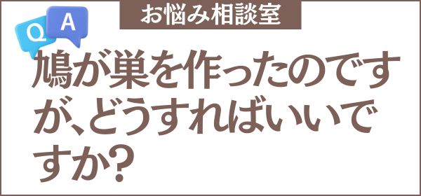 鳩が巣を作ったのですが、どうすればいいですか？卵やヒナがいる場合の対処法も教えてください